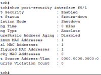 Seguridad en puertos de red capa&nbsp;2